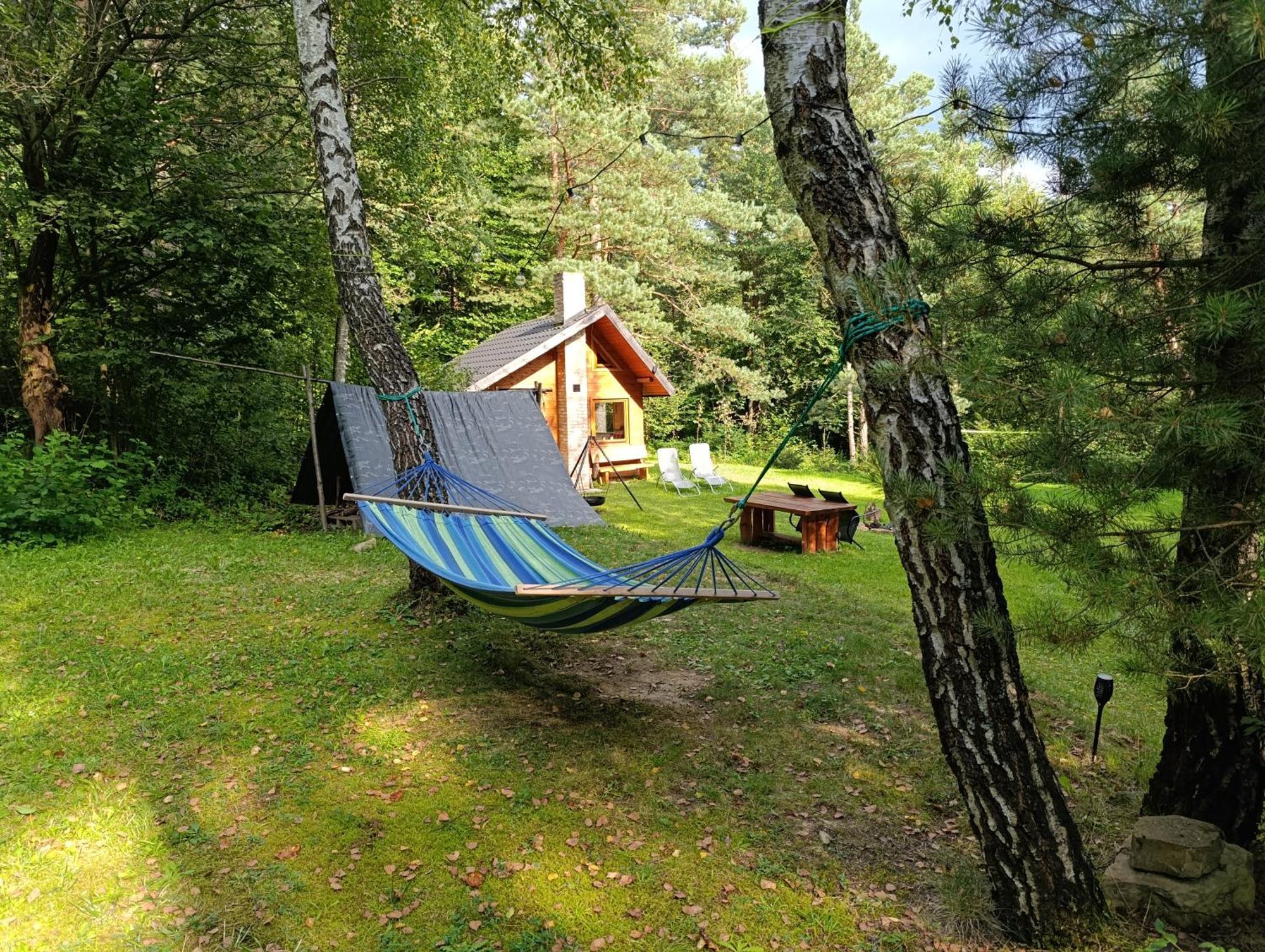 Survivalowa Chata W Lesie Bukowsko Eksteriør billede